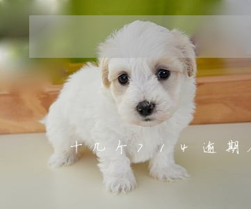 十几个714逾期会上门吗 十几个714逾期会上门吗