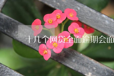 十几个网贷全面逾期会面临什么