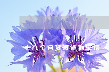 十几个网贷没逾期征信 十几个网贷没逾期征信