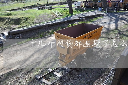 十几个网贷都逾期了怎么办 十几个网贷都逾期了怎么办