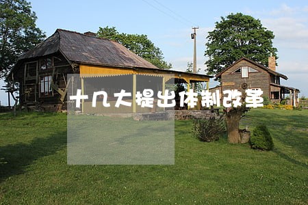 十几大提出体制改革 十几大提出体制改革