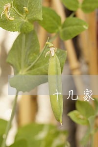 十几家网贷100万逾期 十几家网贷100万逾期