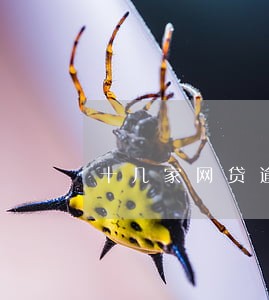 十几家网贷逾期一个月了 十几家网贷逾期一个月了