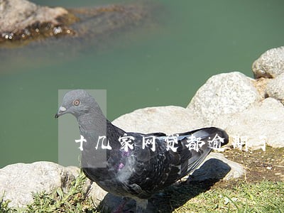 十几家网贷都逾期了 十几家网贷都逾期了