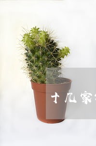 十几家银行网贷逾期 十几家银行网贷逾期