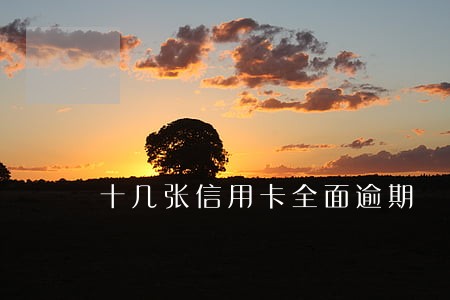 十几张信用卡全面逾期 十几张信用卡全面逾期