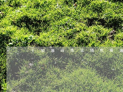 十加油站违法销售柴油被查处 十加油站违法销售柴油被查处