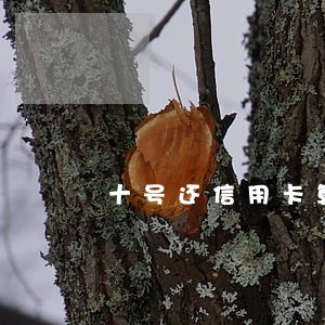 十号还信用卡算逾期吗 十号还信用卡算逾期吗