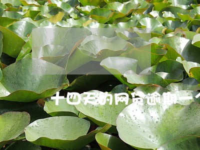 十四天的网贷逾期一个月
