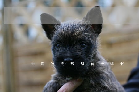 十四岁男孩想看法律书 十四岁男孩想看法律书
