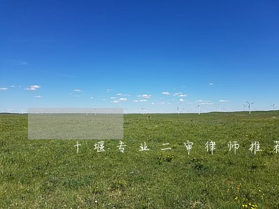十堰专业二审律师推荐 十堰专业二审律师推荐