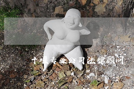 十堰专业公司法律顾问 十堰专业公司法律顾问