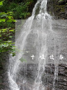 十堰债务律师在线咨询