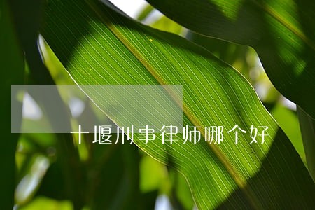 十堰刑事律师哪个好 十堰刑事律师哪个好