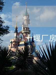 十堰厂房拆迁律师在线咨询