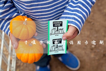 十堰市农商行信用卡逾期 十堰市农商行信用卡逾期