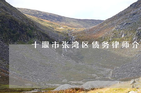 十堰市张湾区债务律师介绍 十堰市张湾区债务律师介绍
