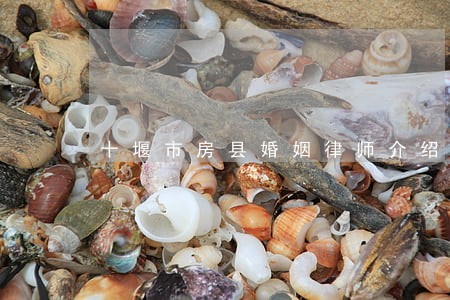 十堰市房县婚姻律师介绍 十堰市房县婚姻律师介绍