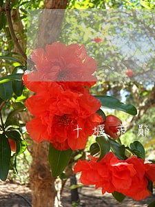 十堰市郧西县债务律师多少钱 十堰市郧西县债务律师多少钱