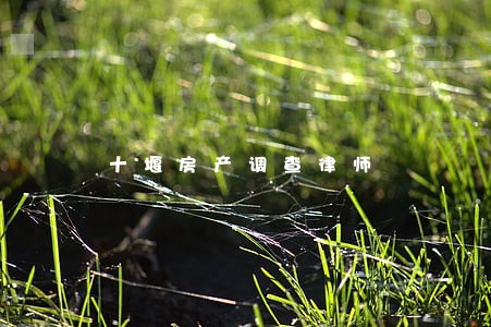 十堰房产调查律师