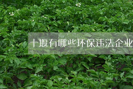 十堰有哪些环保违法企业 十堰有哪些环保违法企业