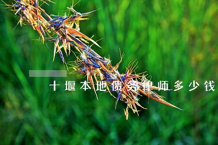 十堰本地债务律师多少钱 十堰本地债务律师多少钱