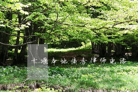 十堰本地债务律师电话 十堰本地债务律师电话