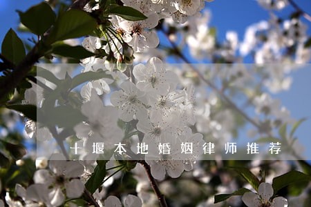 十堰本地婚姻律师推荐 十堰本地婚姻律师推荐