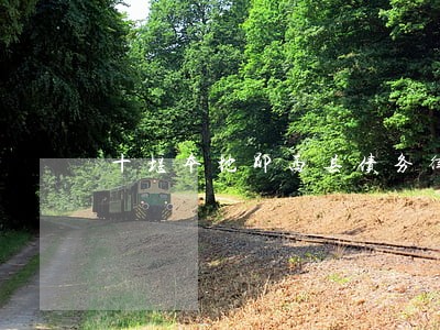 十堰本地郧西县债务律师介绍 十堰本地郧西县债务律师介绍