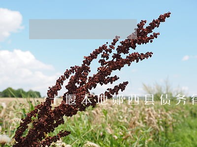 十堰本地郧西县债务律师排名