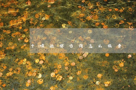 十堰法律咨询怎么收费 十堰法律咨询怎么收费
