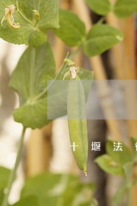 十堰法律咨询费用标准 十堰法律咨询费用标准
