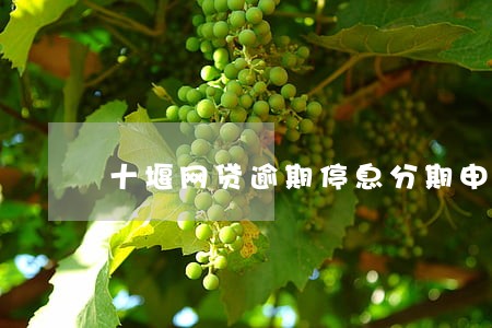 十堰网贷逾期停息分期申请条件 十堰网贷逾期停息分期申请条件