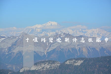 十堰网贷逾期停息挂账申请条件 十堰网贷逾期停息挂账申请条件