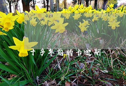 十多年前的卡逾期