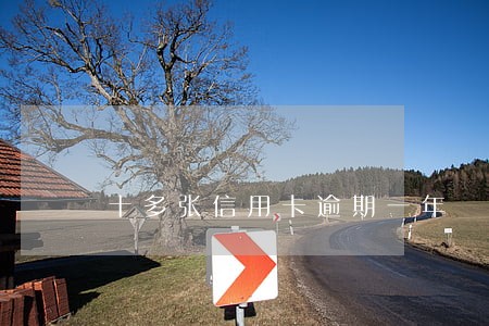 十多张信用卡逾期一年 十多张信用卡逾期一年