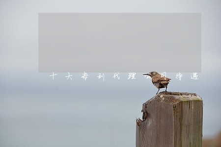 十大专利代理公司待遇