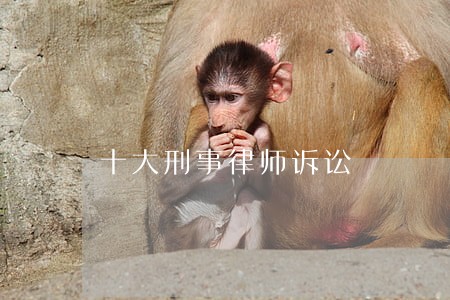 十大刑事律师诉讼 十大刑事律师诉讼