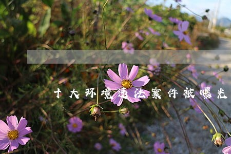 十大环境违法案件被曝光 十大环境违法案件被曝光