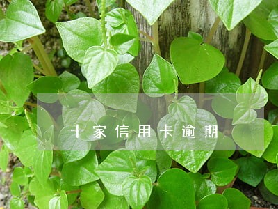 十家信用卡逾期 十家信用卡逾期