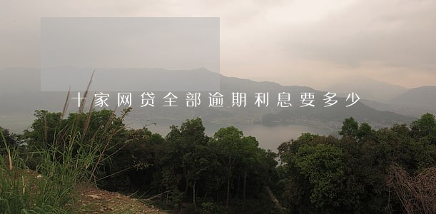 十家网贷全部逾期利息要多少