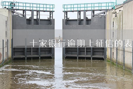 十家银行逾期上征信的表格 十家银行逾期上征信的表格