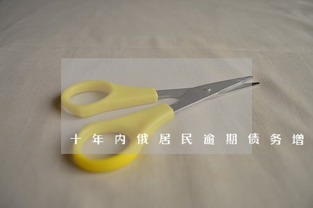 十年内俄居民逾期债务增长5倍 十年内俄居民逾期债务增长5倍