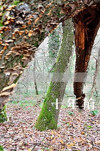 十年前信用卡逾期记录 十年前信用卡逾期记录