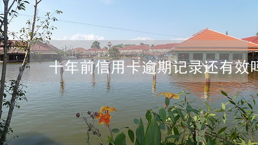 十年前信用卡逾期记录还有效吗