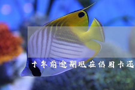 十年前逾期现在信用卡还办不了 十年前逾期现在信用卡还办不了
