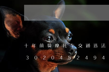 十年前骑摩托车交通违法怎么处理/2023020452494 十年前骑摩托车交通违法怎么处理/2023020452494