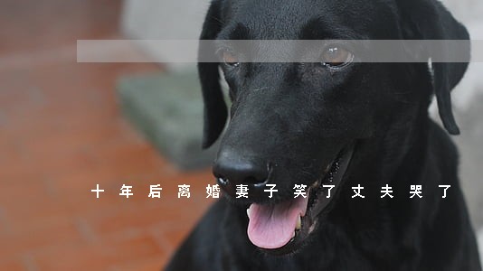 十年后离婚妻子笑了丈夫哭了 十年后离婚妻子笑了丈夫哭了