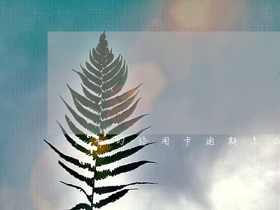 十年的信用卡逾期怎么还 十年的信用卡逾期怎么还