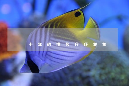 十年的债务只还本金